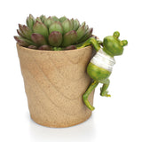 Frog potted ornament - Things and what not