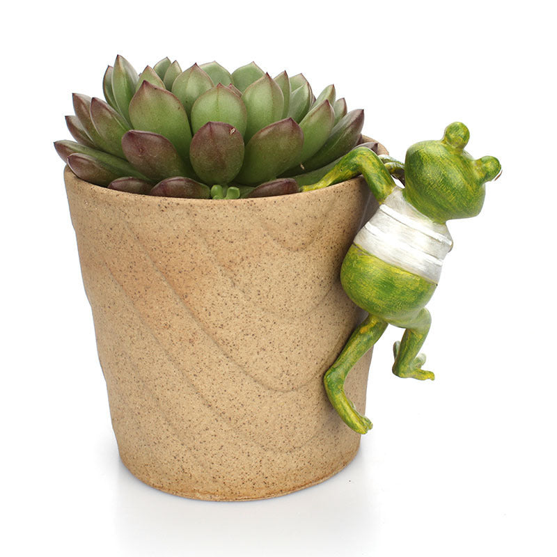 Frog potted ornament - Things and what not