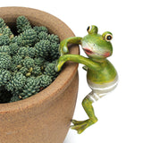Frog potted ornament - Things and what not