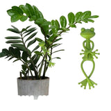 Frog Plant Stand, Green Frog Plant Bracket, - Things and what not
